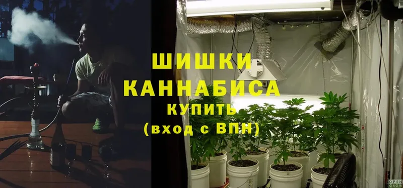 Каннабис SATIVA & INDICA  закладка  Бабаево 